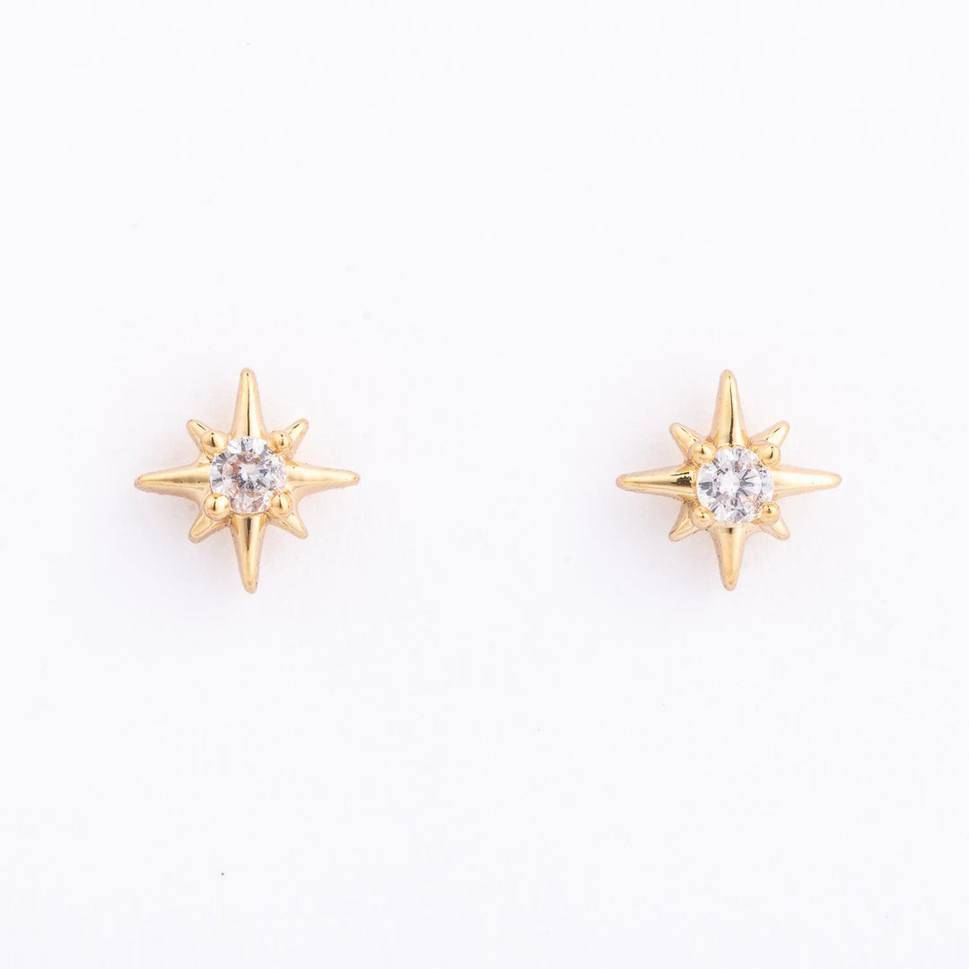 Star Stud Banner Earrings