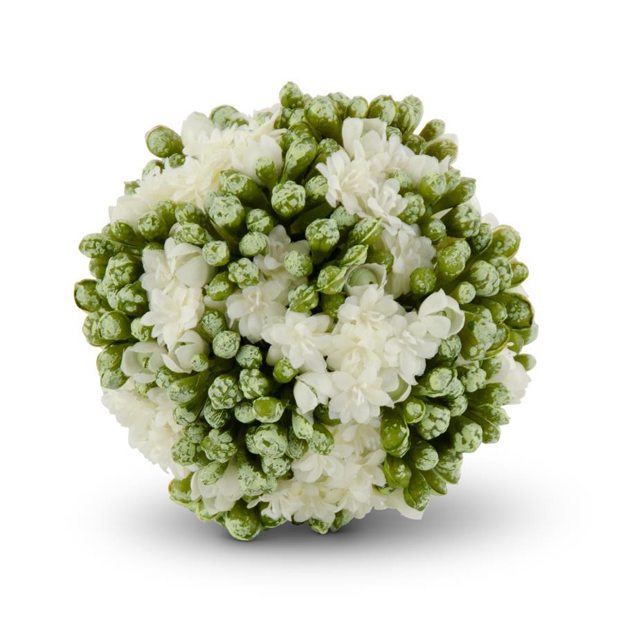 Kalanchoe Ball 4"
