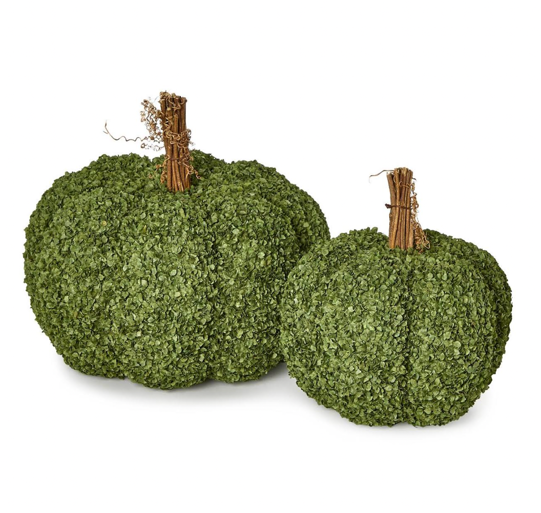 Buckwheat Husk Pumpkins