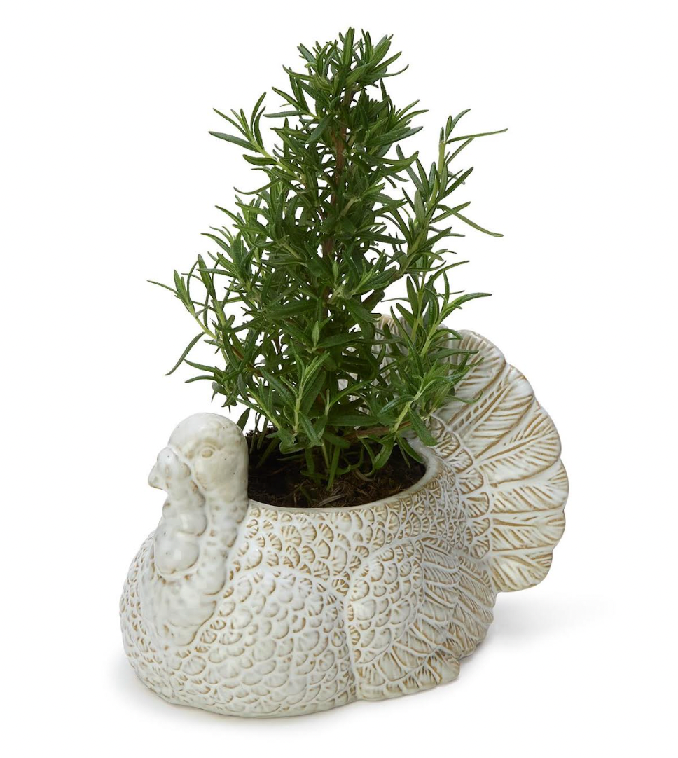 Turkey Cachepot