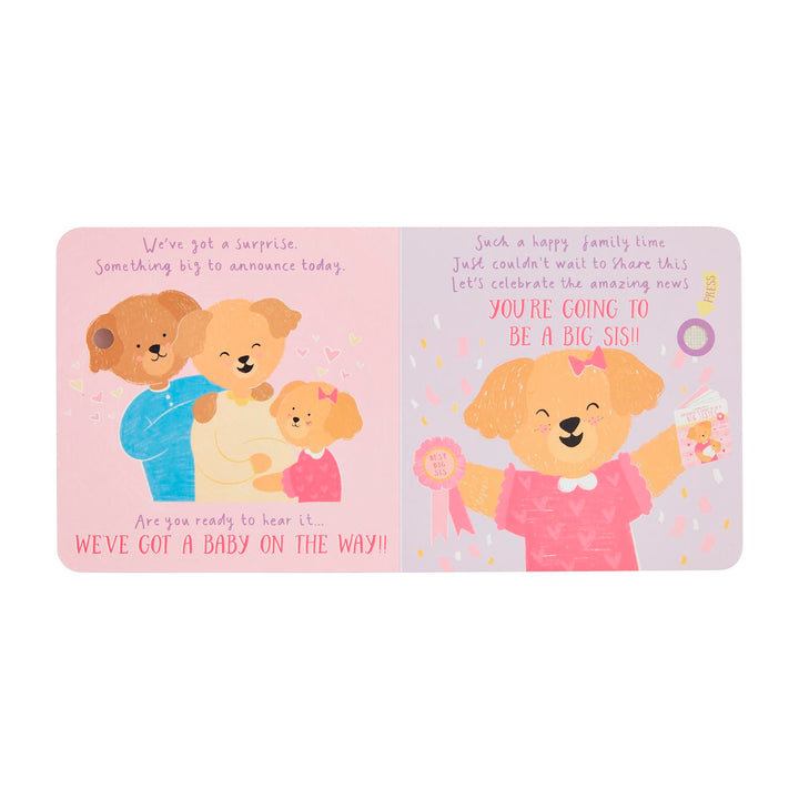 Sounds Like a Big Brother/Sister Book