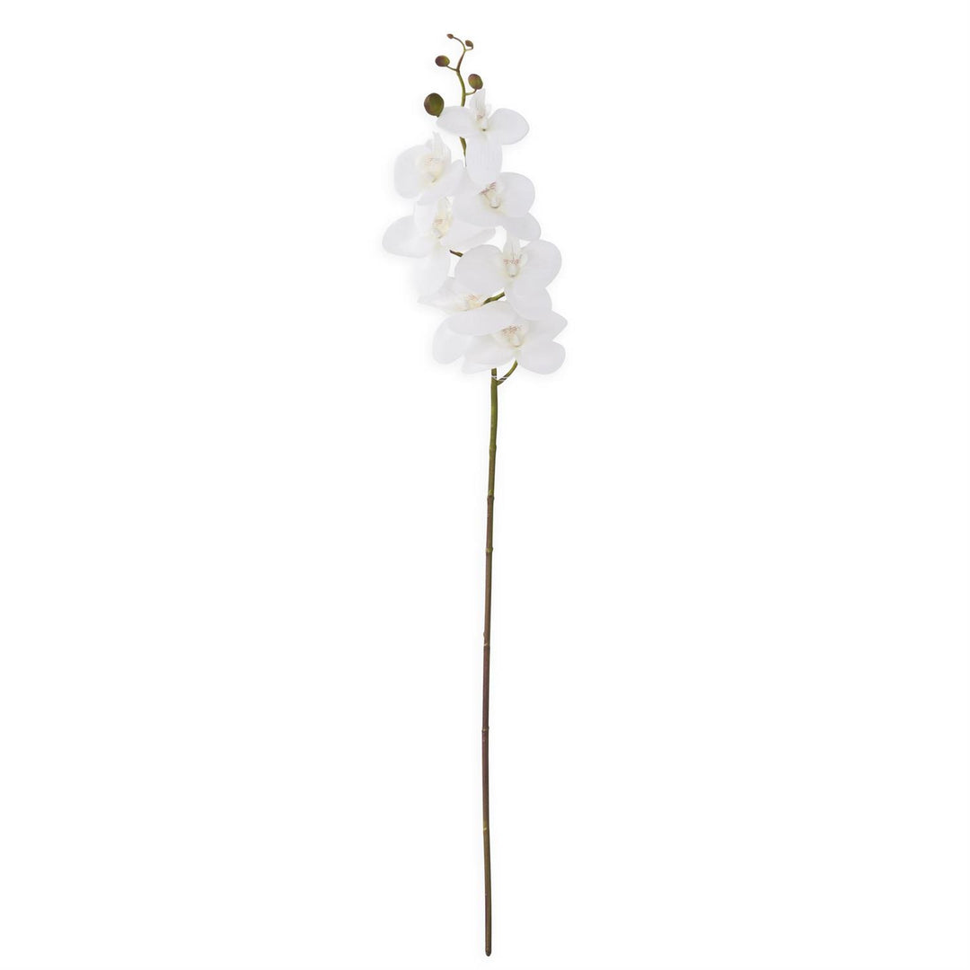34.5 Inch Orchid Stem