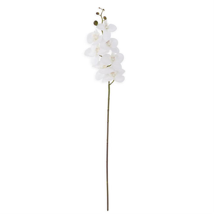 34.5 Inch Orchid Stem