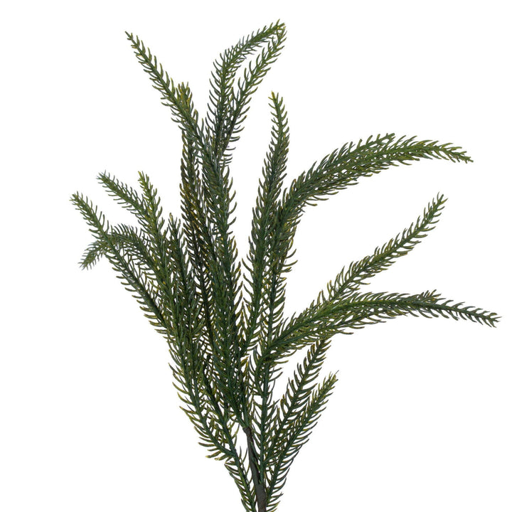Green Norfolk Pine Wreath
