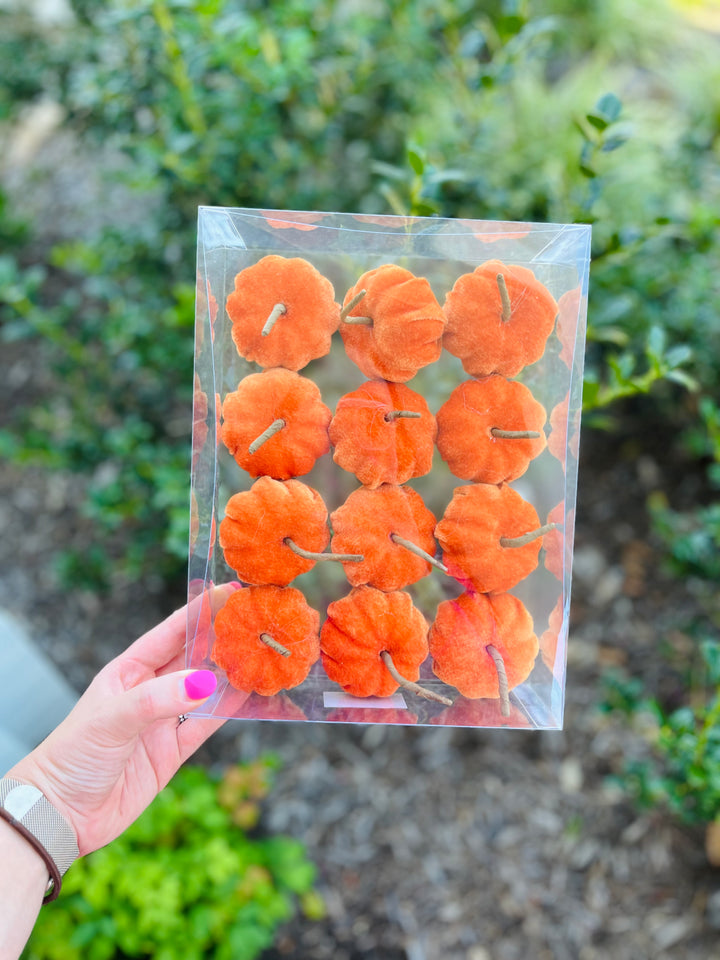 Orange Velvet Pumpkins