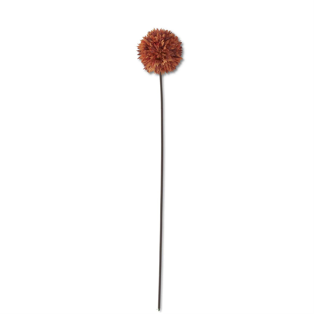 Allium Stem