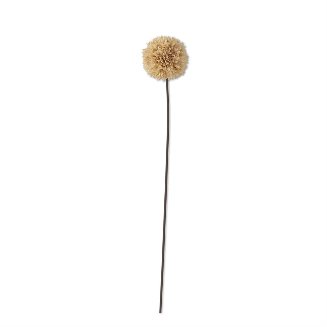 Allium Stem