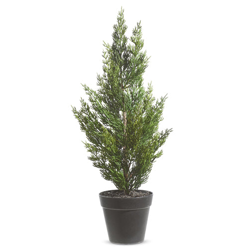 Potted Cedar Tree 21"