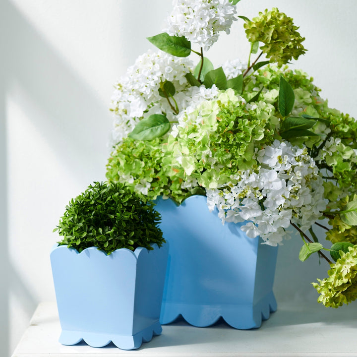 Scalloped Planter/Basket