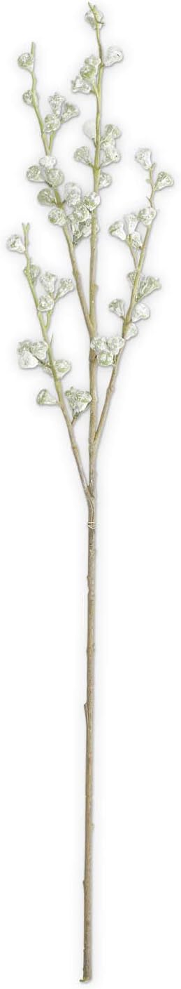 35 Inch Powdered Green Eucalyptus Pod Stem