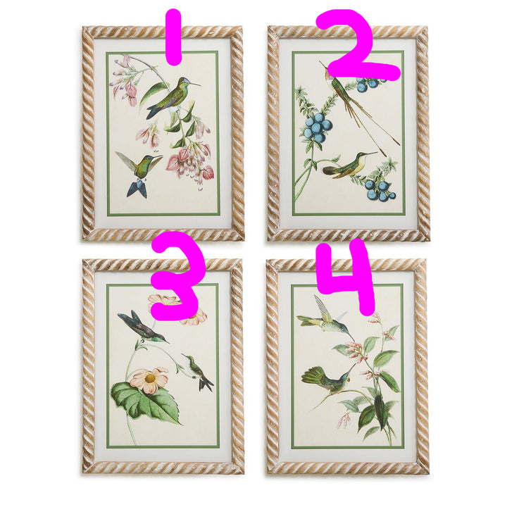 Hummingbird Framed Wall Art Prints