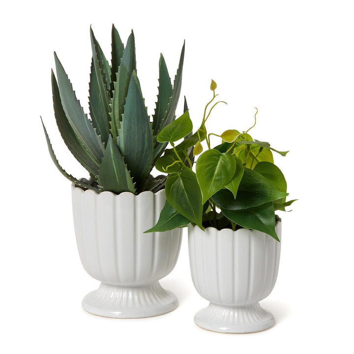 Scalloped Edge Planters