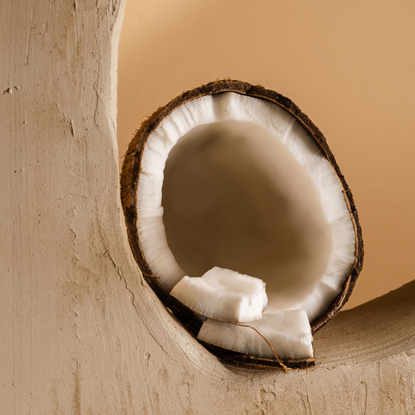Coconut - Pura Home Diffuser Scent Refill