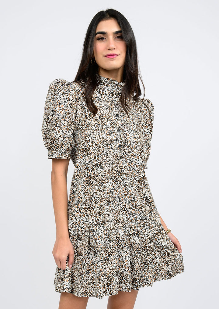 Pleated Printed Dress Ivy Jane