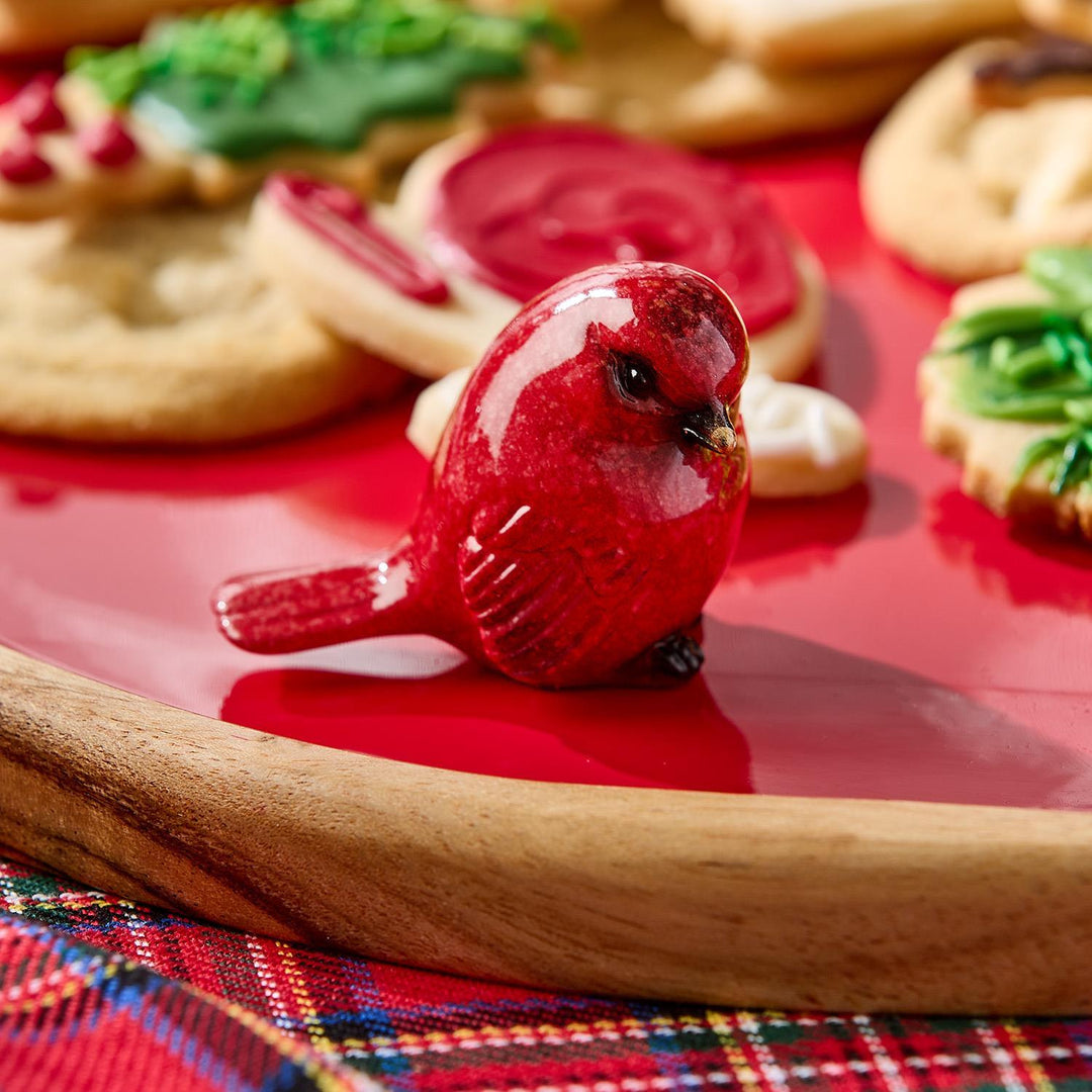 Red Cardinal Bird