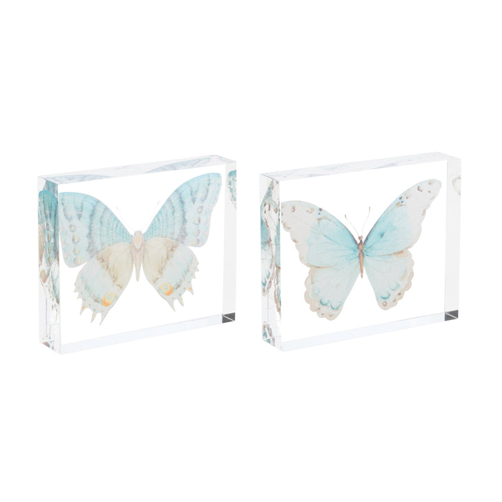 Butterfly Acrylic Artwork