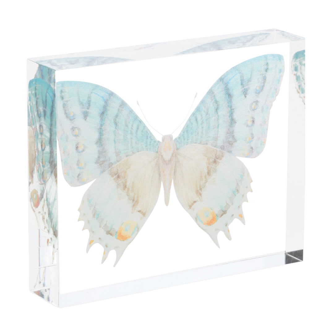 Butterfly Acrylic Artwork
