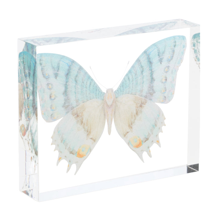 Butterfly Acrylic Artwork