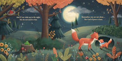 God's Perfect Peace Children's Book