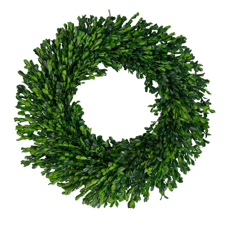 Boxwood Wreath 21"