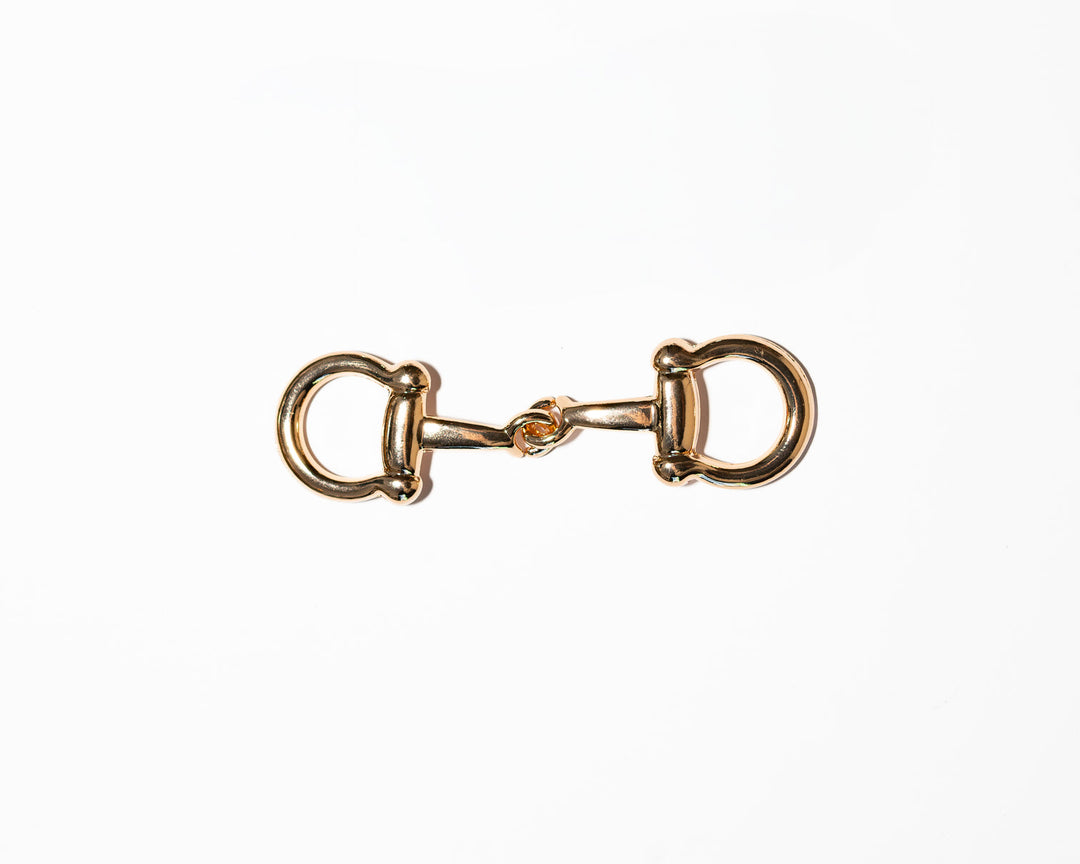 Gold Buckle Scarf Accessory