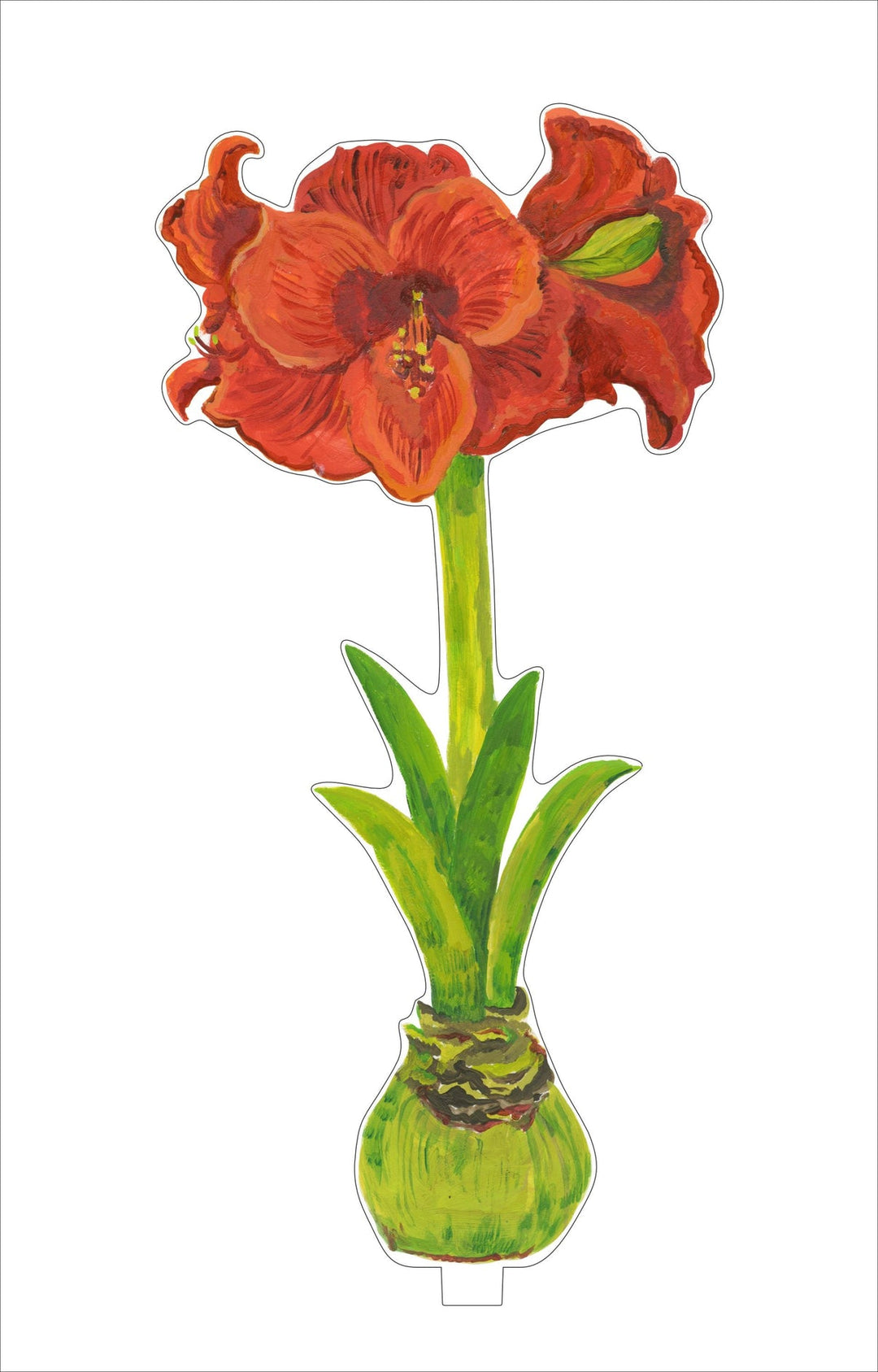 Acrylic Amaryllis Flowers - Small