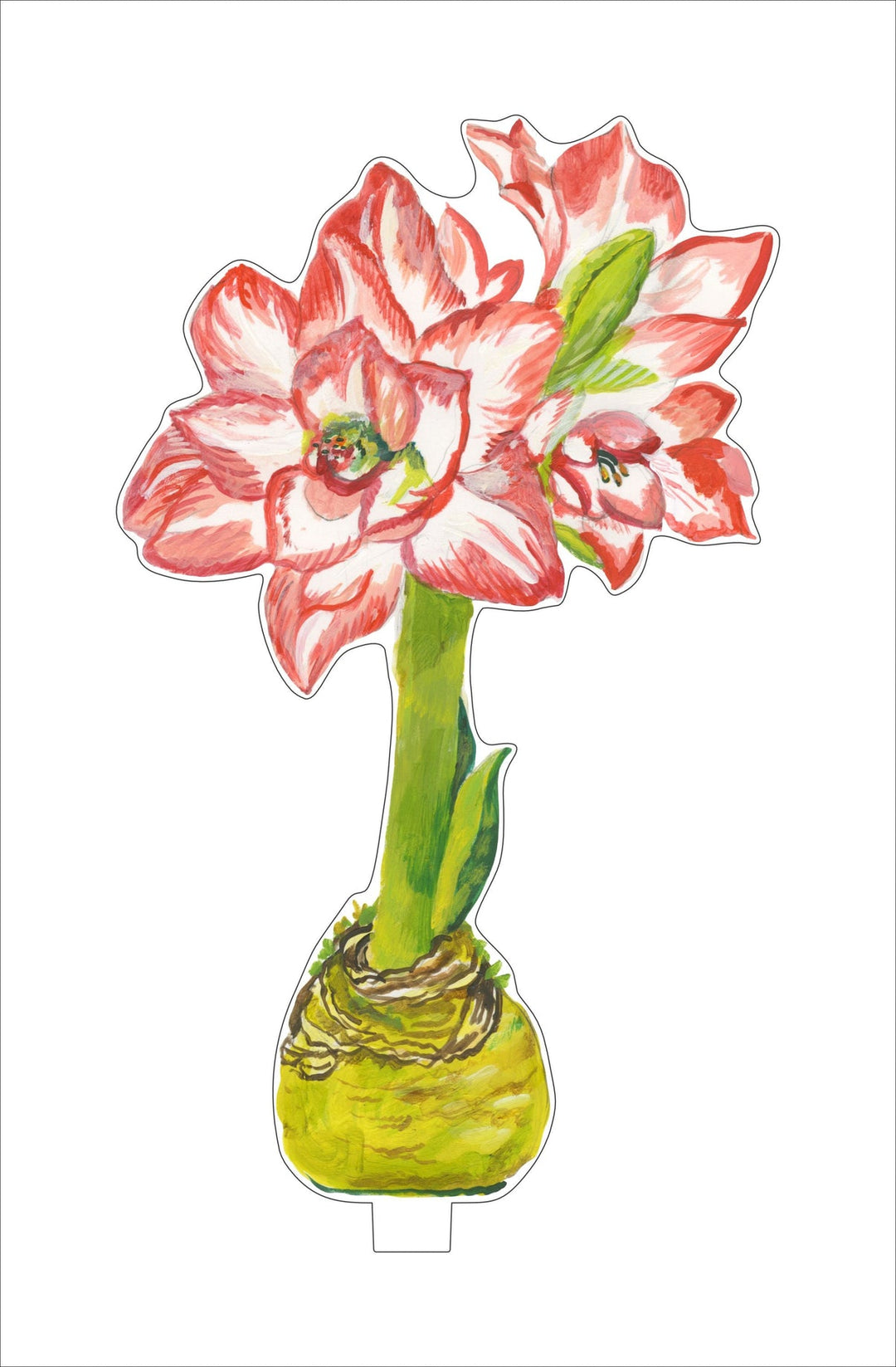 Acrylic Amaryllis Flowers - Small