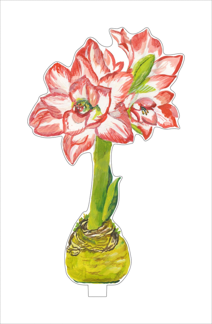 Acrylic Amaryllis Flowers - Small