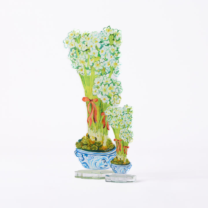 Acrylic Paperwhites | 2 Sizes