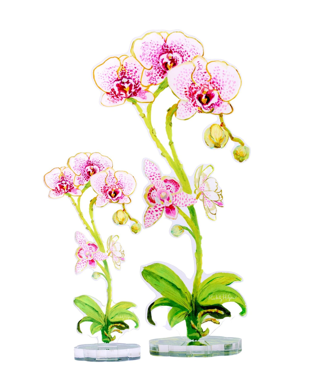 Acrylic Orchid Flower Collection