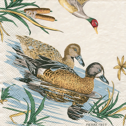 Sologne Napkin