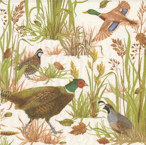 Birds of a Feather Napkin