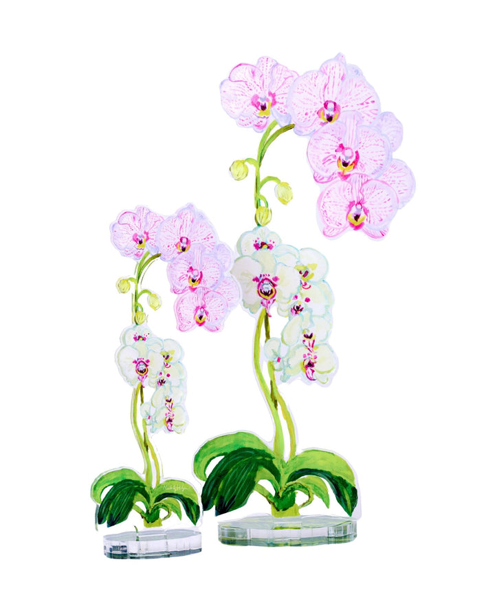 Acrylic Orchid Flower Collection