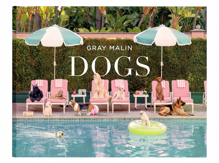 Gray Milan DOGS Coffee Table Book