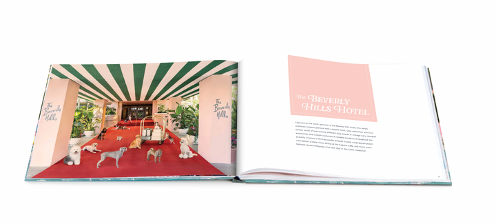 Gray Milan DOGS Coffee Table Book