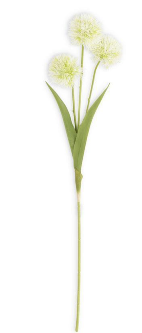 Ball Flower Stem