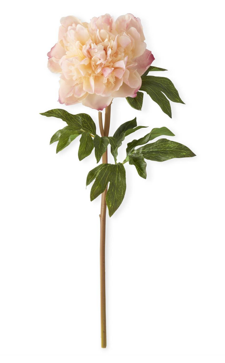 21.5 Inch Real Touch Peony Stem