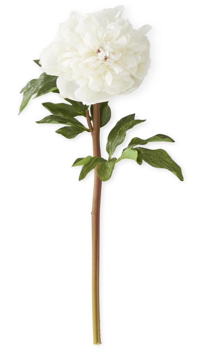 21.5 Inch Real Touch Peony Stem