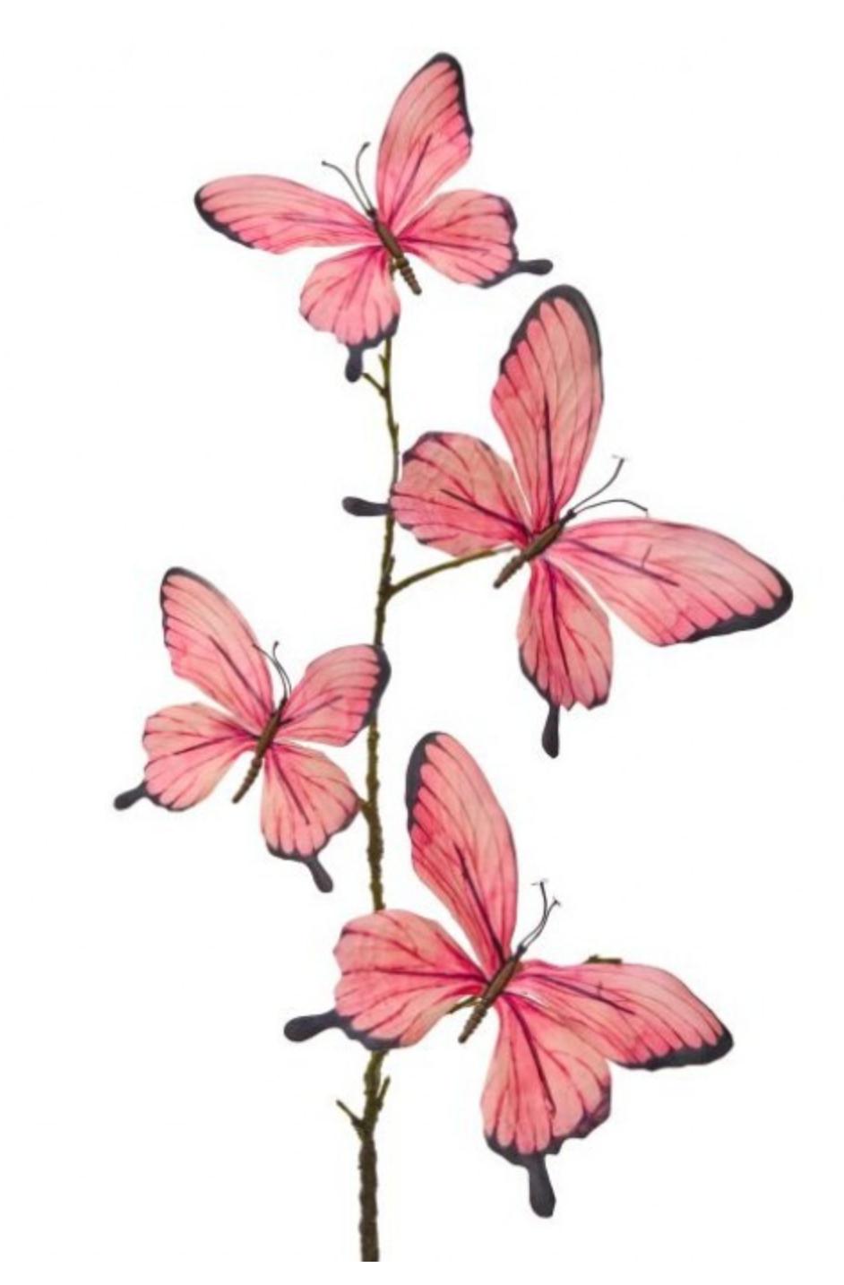 Colorful Butterfly Spray