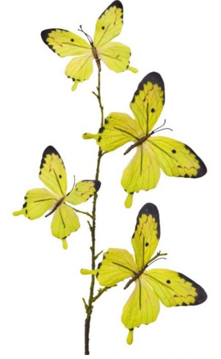 Colorful Butterfly Spray
