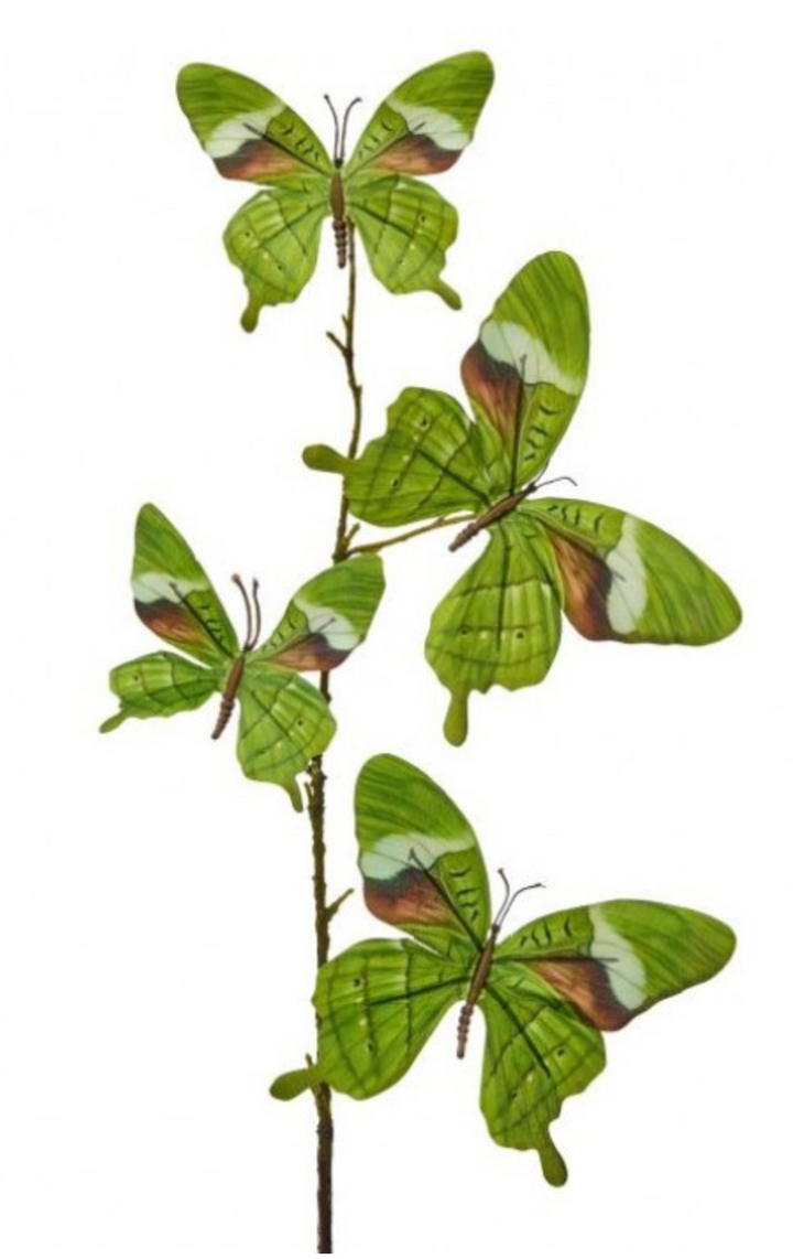 Colorful Butterfly Spray