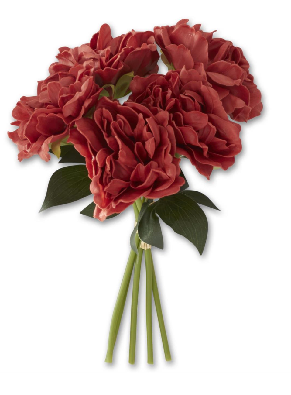 Rust Peony Bundle