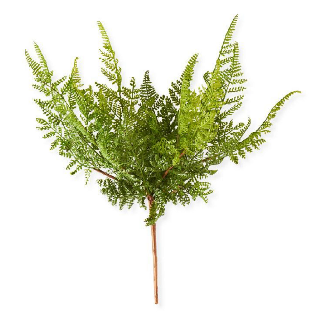 Curly Aspidiaceae Fern Spray Stem