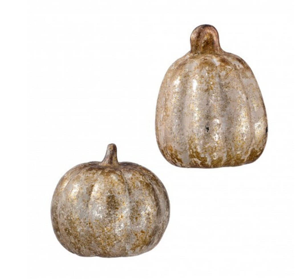 Aged Pumpkin