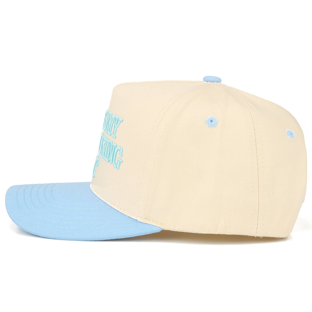 Dog Walking Hat