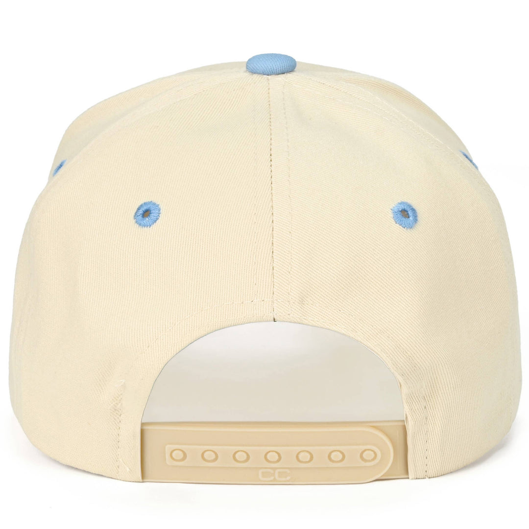 Dog Walking Hat