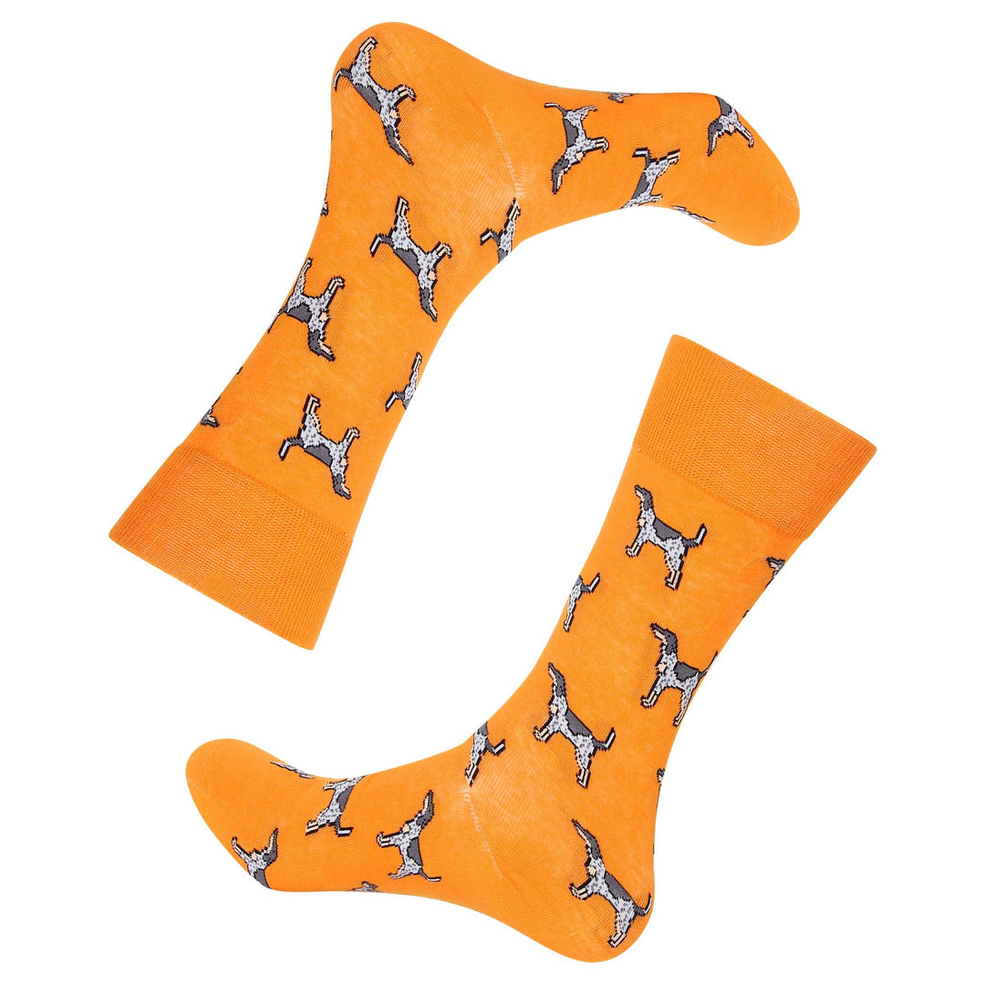 Orange Coonhound Socks