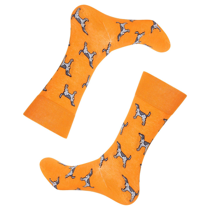 Orange Coonhound Socks
