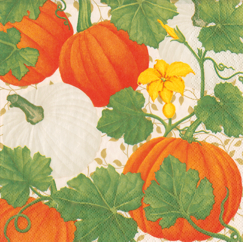 Pumpkin Chintz Napkins