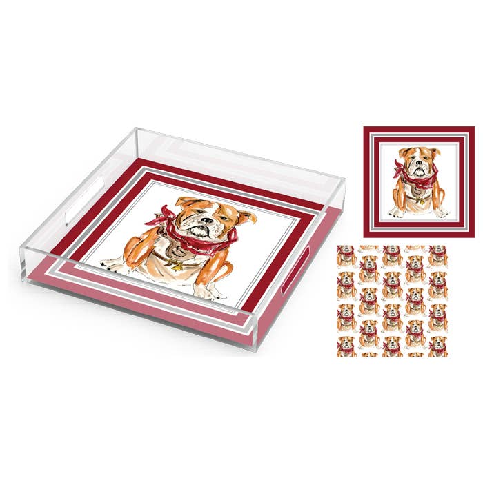 Collegiate Mascot Large Acrylic Tray